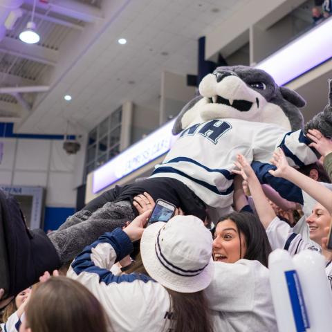 UNH mascot Wild E. Cat being hoisted by fans at the Whittemore Center Arena.