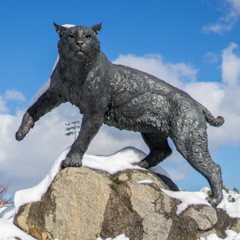Wildcat statue in snow