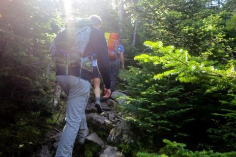 hiking in the white mountains