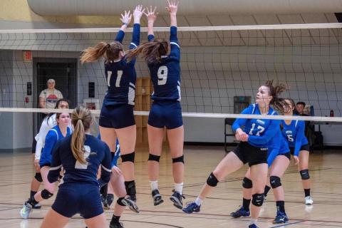 unh women's club volleyball game