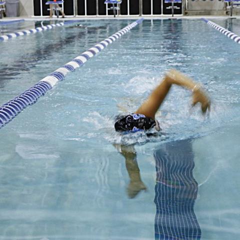 women swimming in the swasey indoor pool