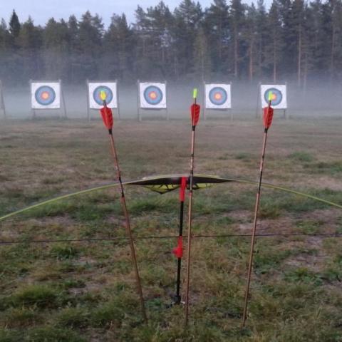 archery arrows and targets