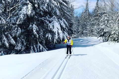 Student cross country skiing in a wintry forest 