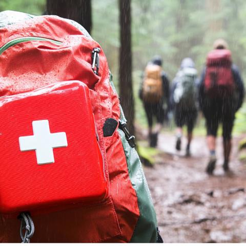 Wilderness First Aid
