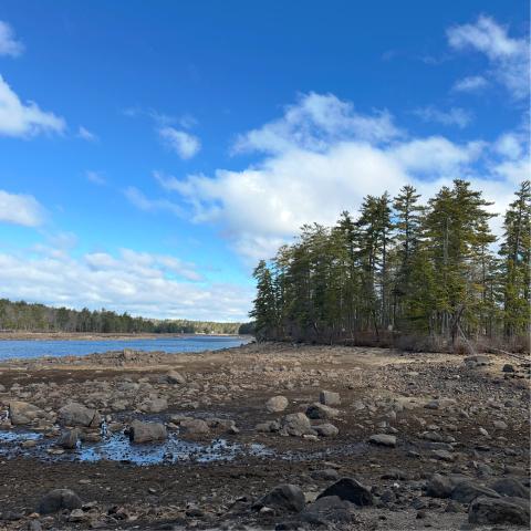 More photos of Mendums Pond during damn reconstruction