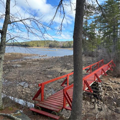 Bridge to the island